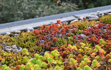 the cost of Thornsett green roof installation