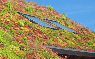 Thornsett living roof systems